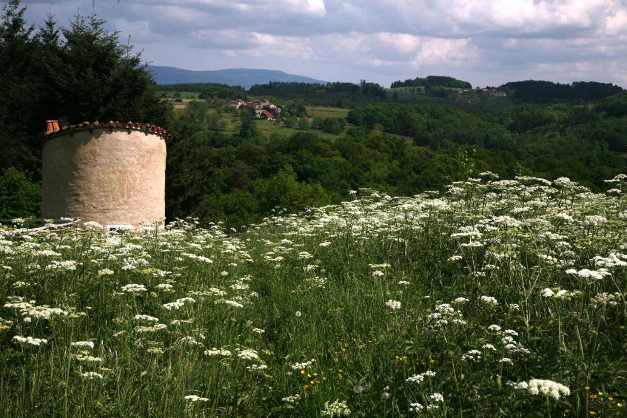 La Paresse En Douce Bed and Breakfast Tours-Sur-Meymont Eksteriør billede